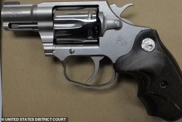 Hunter Biden Colt Cobra revolver