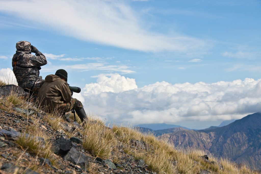 hunting hunters glassing elk rocky mountain