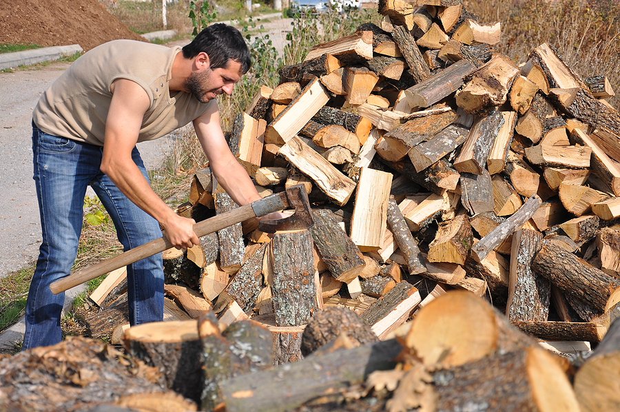 chop chopping wood