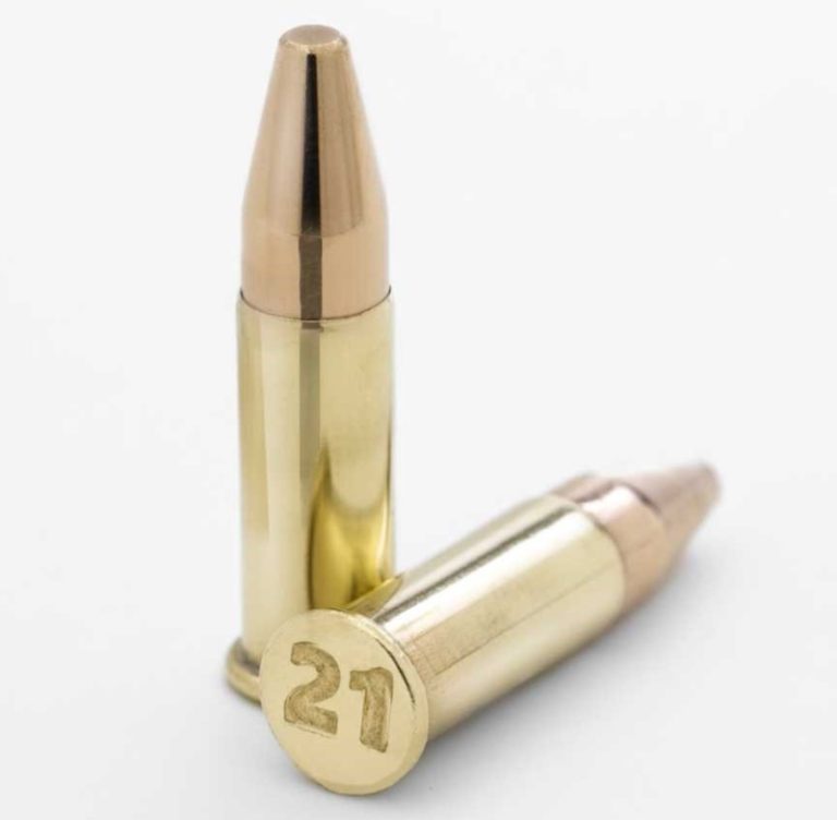 The New Rimfire: Winchester’s 21 Sharp Cartridge - Shooting News Weekly