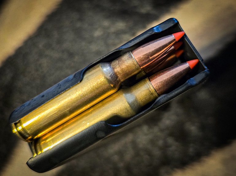 ammunition ammo in mag