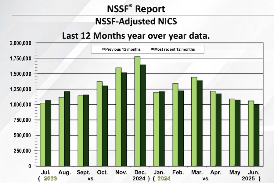 June 2025 adjusted NICS background checks gun sales