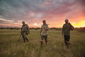 texas bird dove wingshooter hunt hunting hunters
