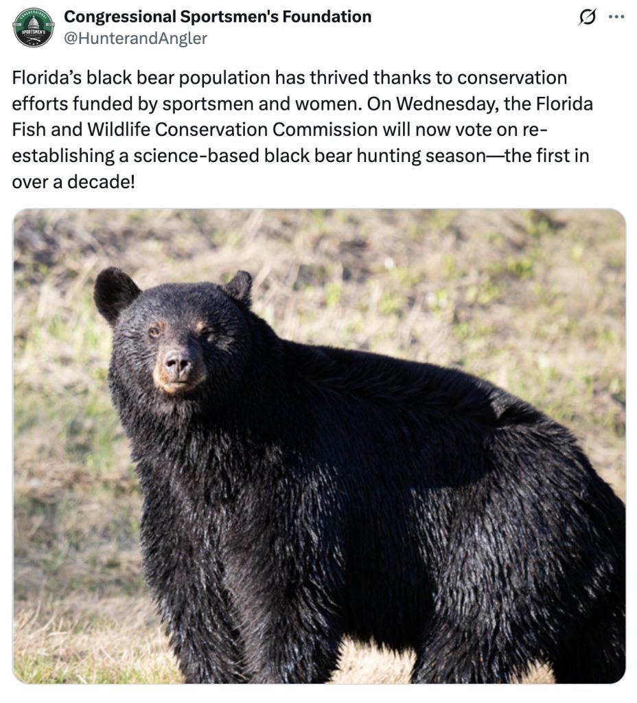 Florida black bear hunt