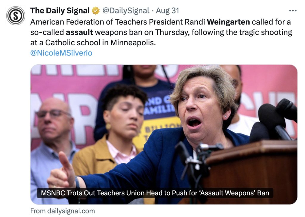 Randi Weingarten assault weapons ban