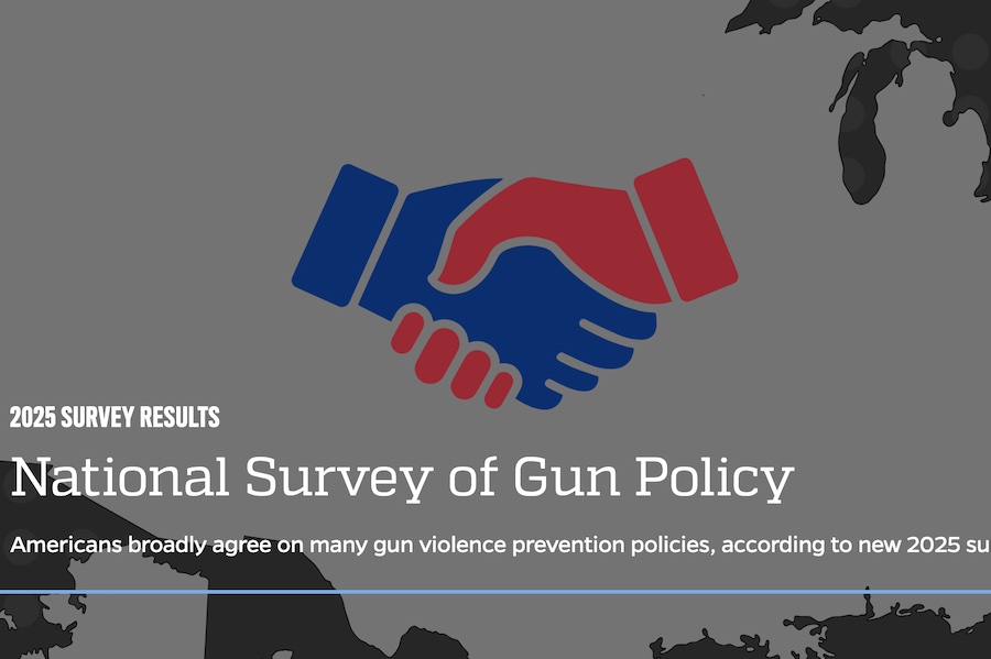 Johns Hopkins Bloomberg gun policy survey