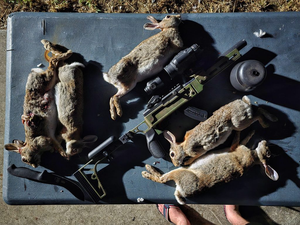 rabbit hunting thermal subsonic ammunition