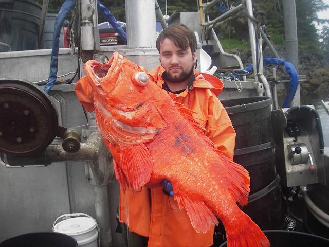 Jens "Rex Nanorum" Hammer fishing on the F/V Silver Dawn