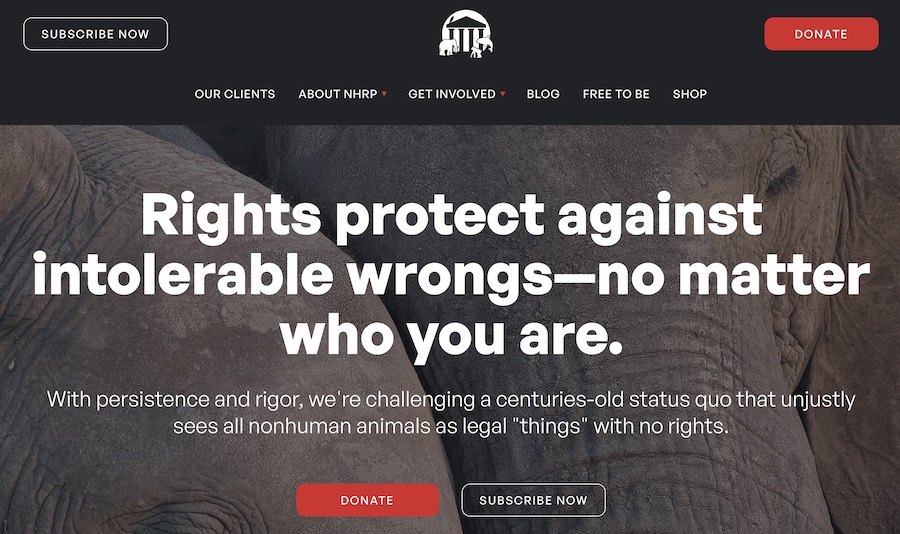 Nonhuman Rights Project