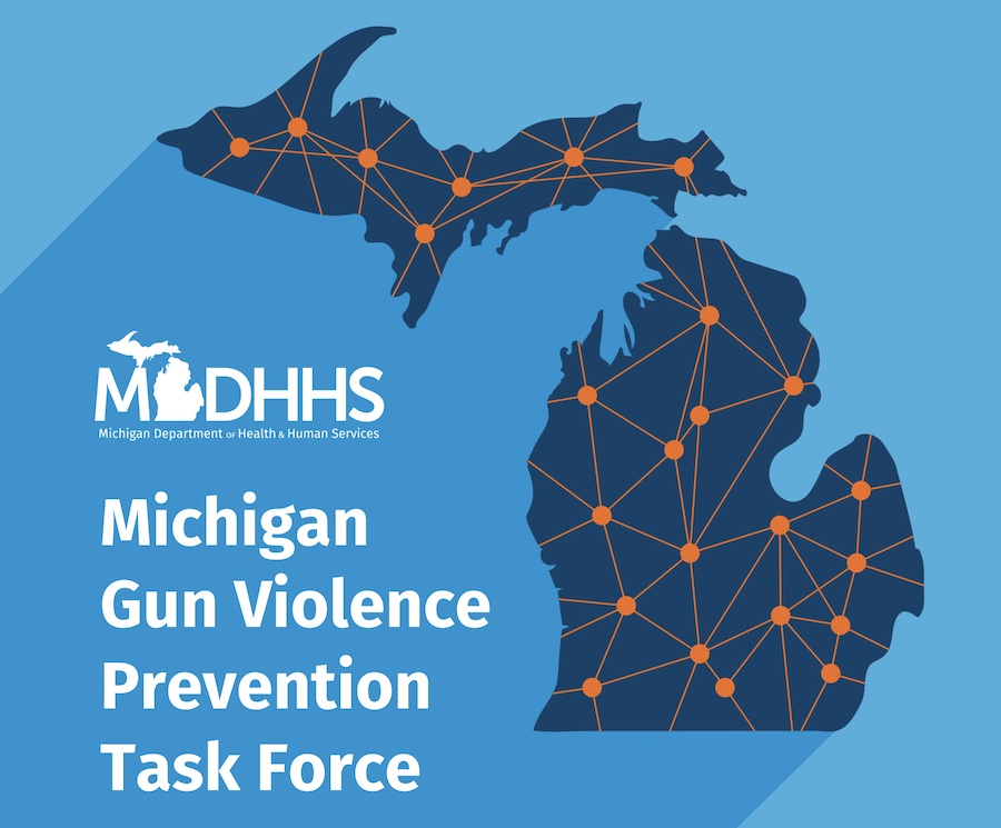 Michigan Gun Violence Prevention Task Force