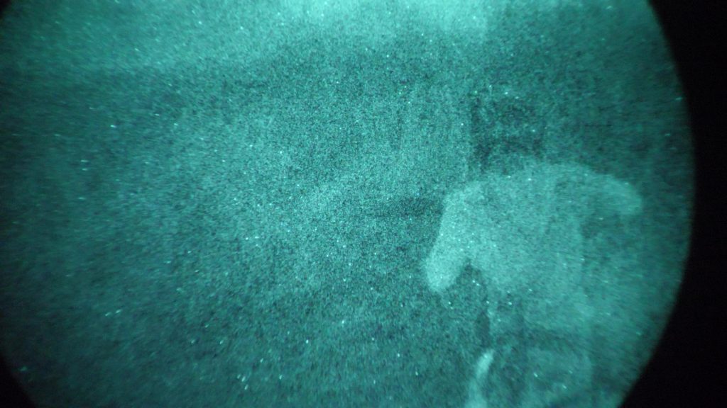 Moons Out 2026 Night Vision Match - Accessible, Fun, & Rare