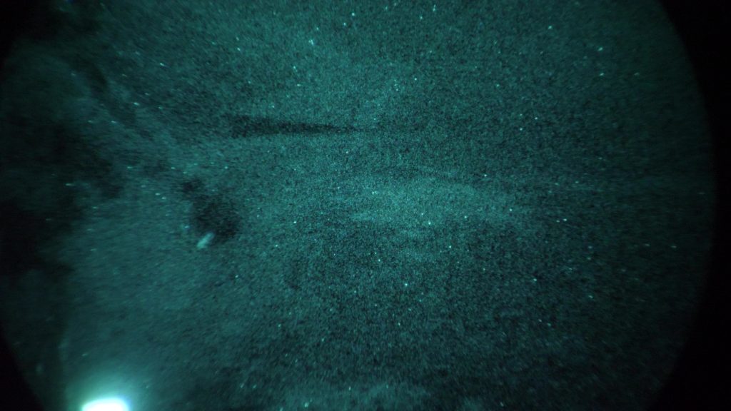 Moons Out 2026 Night Vision Match - Accessible, Fun, & Rare