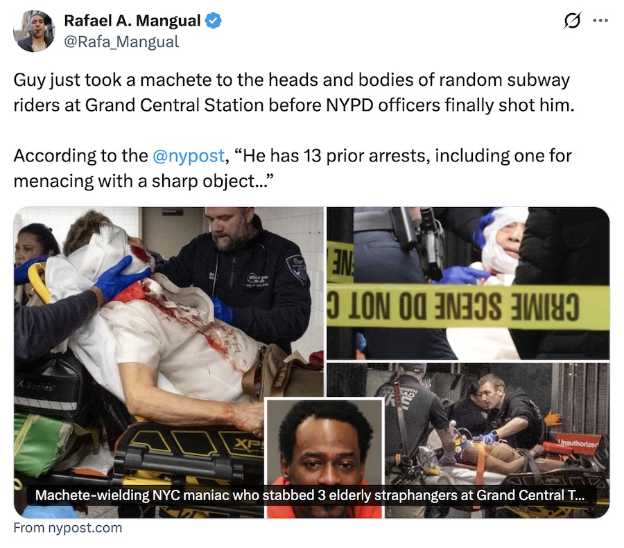 NYPD subway machete attack