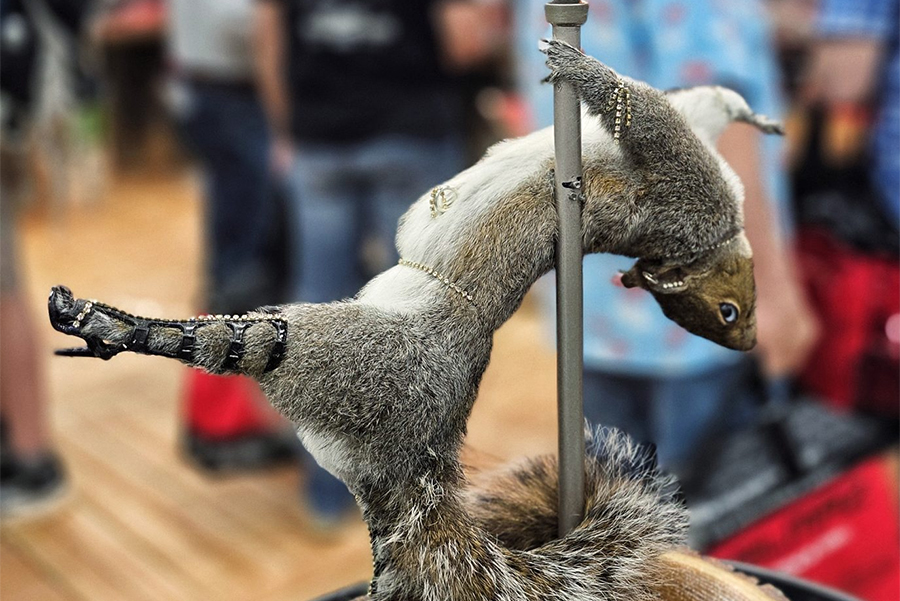 Silencer Shop squirrel stripper pole