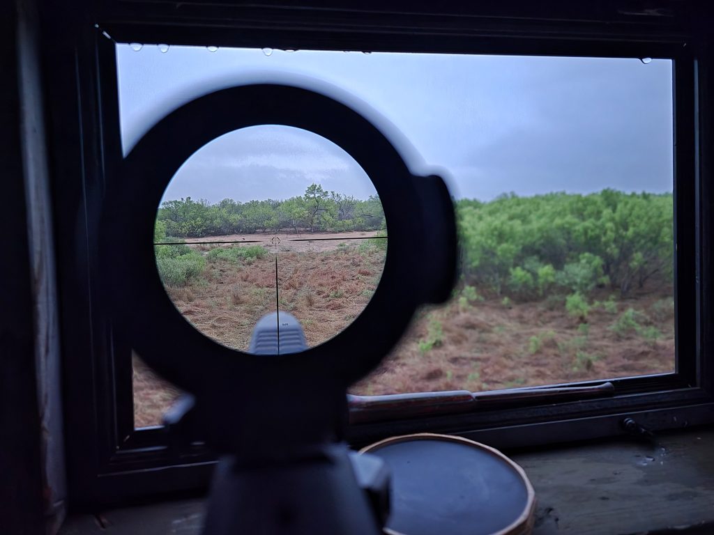 scene from hunting blind turkey hunting with 300 BLK short barrel rifle