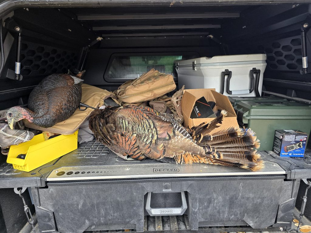 turkey hunting with a rifle turkey in back of pickup truck