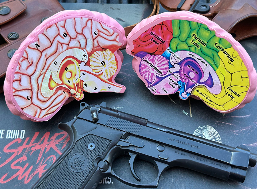 Ballistic Problem Solving train your brain