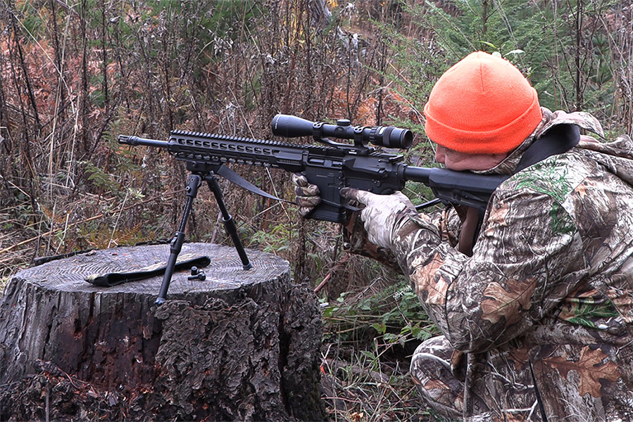 AR-15 AR10 hunting Warne