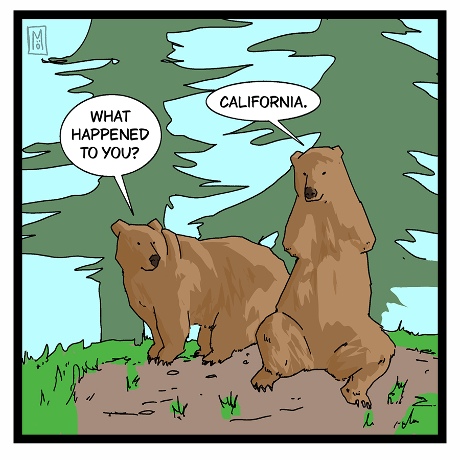 california right to bear arms
