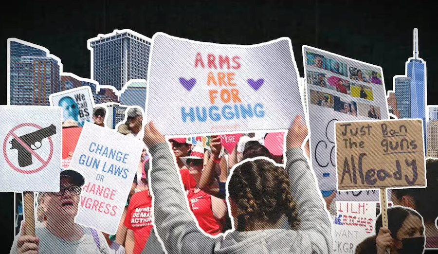 gun control insights protesters video still