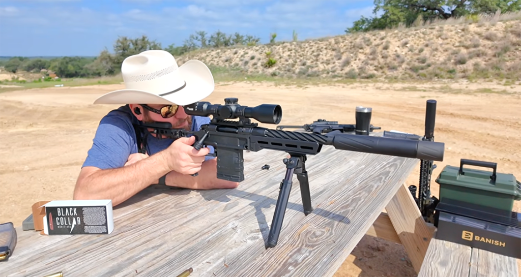 BANISH 30-V2 suppressor review