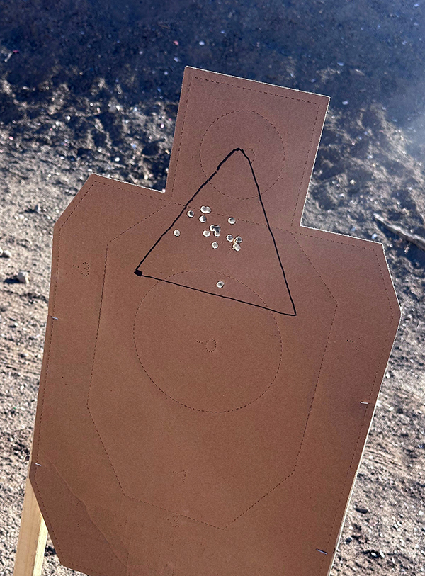 range train thoracic triangle target