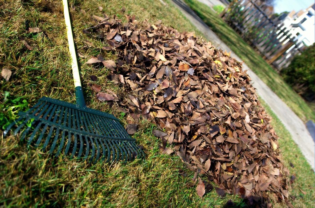 fall leaves rake